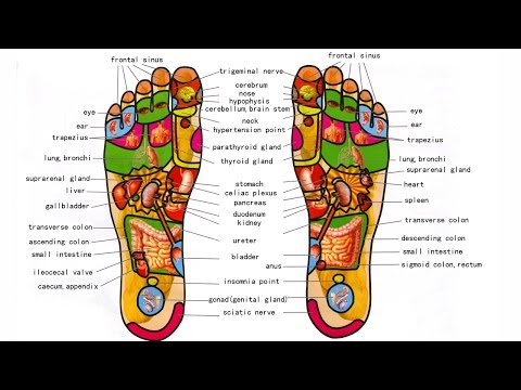 What is Foot Reflexology – Foot Massage And Benefits – How to do Foot Reflexology Step By Step